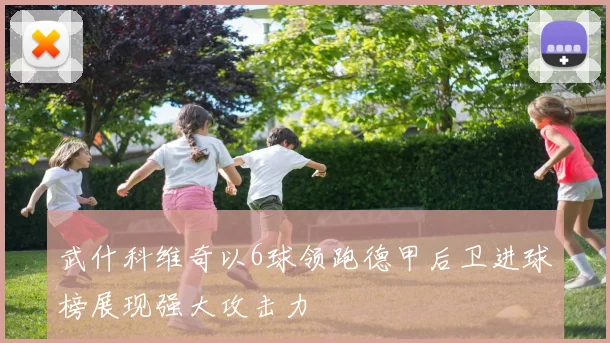 武什科维奇以6球领跑德甲后卫进球榜展现强大攻击力